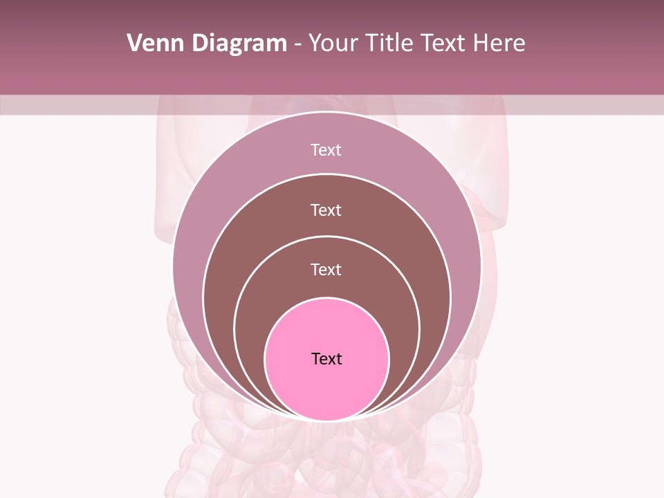 Bladder Cancer Lung PowerPoint Template