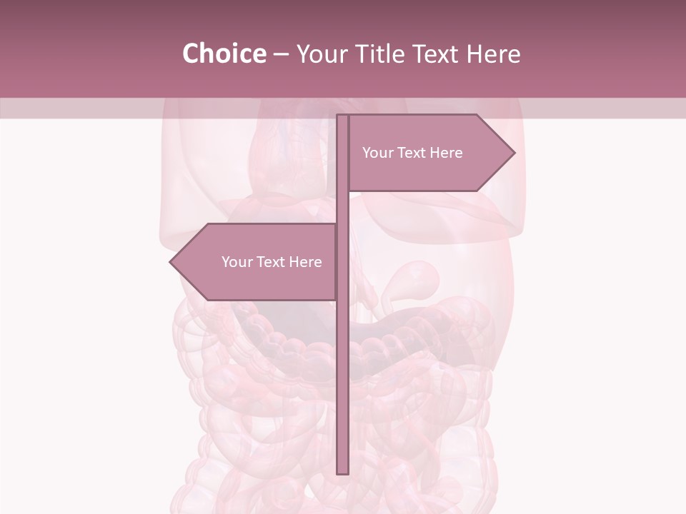 Bladder Cancer Lung PowerPoint Template