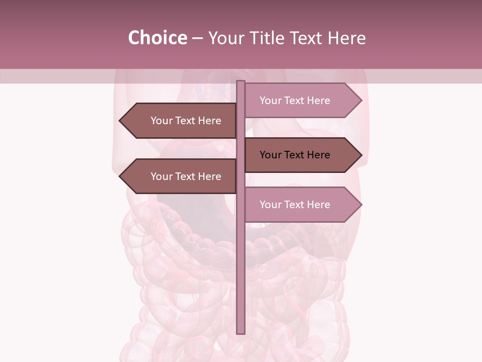 Bladder Cancer Lung PowerPoint Template
