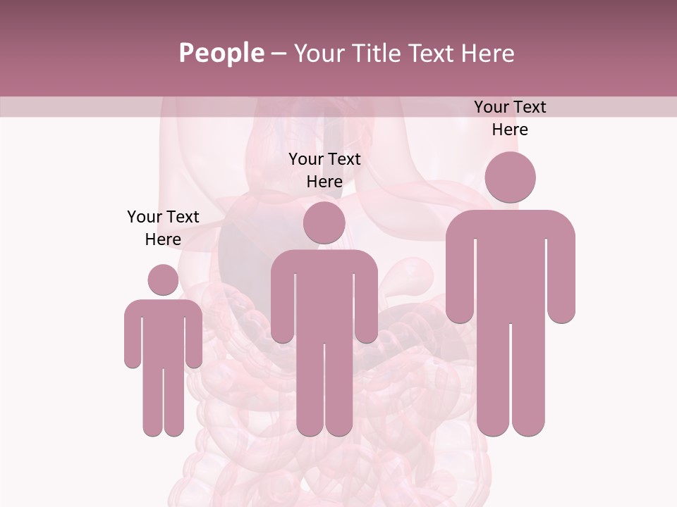Bladder Cancer Lung PowerPoint Template