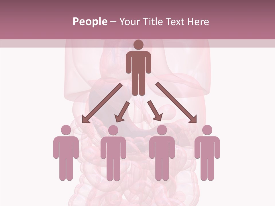 Bladder Cancer Lung PowerPoint Template