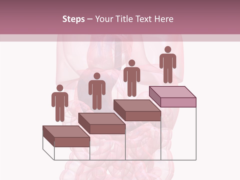 Bladder Cancer Lung PowerPoint Template