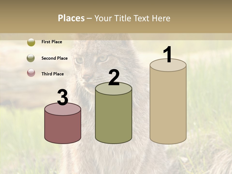 Whiskers Tufts Mouth PowerPoint Template