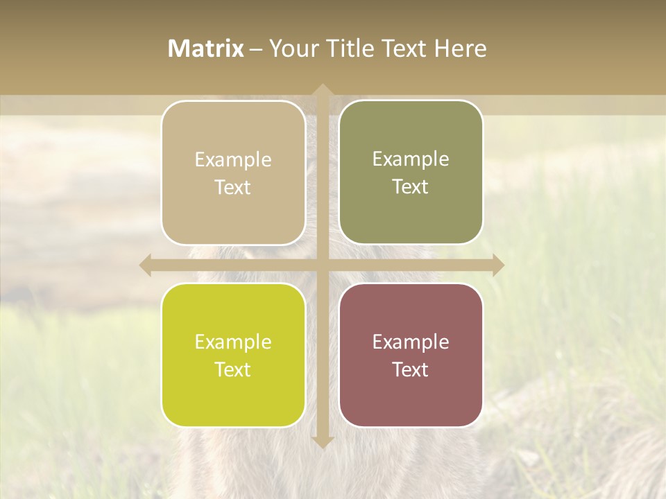 Whiskers Tufts Mouth PowerPoint Template