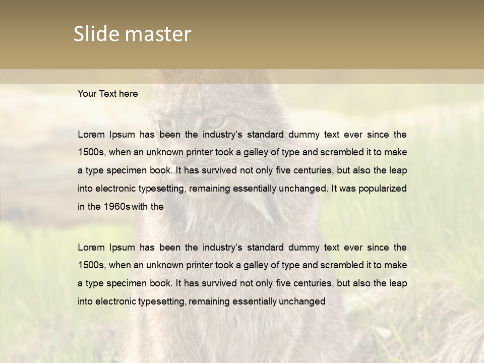 Whiskers Tufts Mouth PowerPoint Template