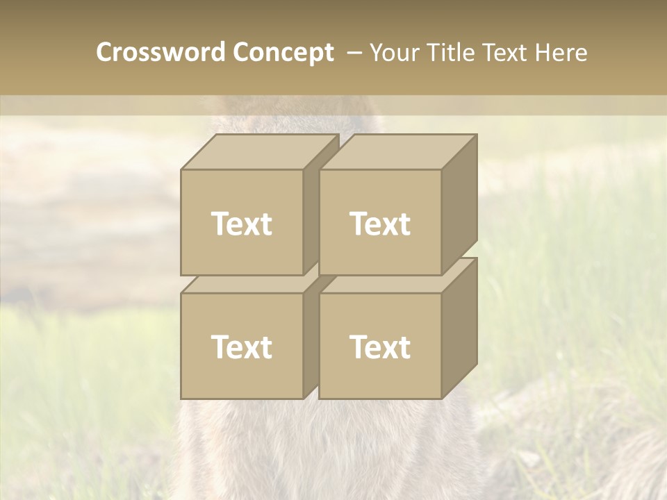 Whiskers Tufts Mouth PowerPoint Template