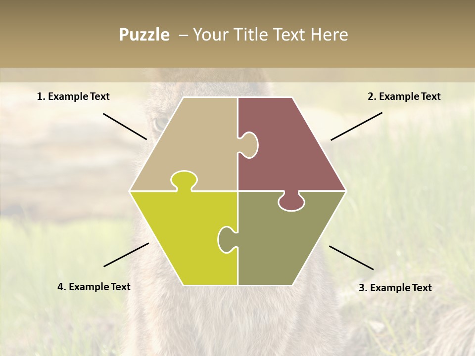 Whiskers Tufts Mouth PowerPoint Template