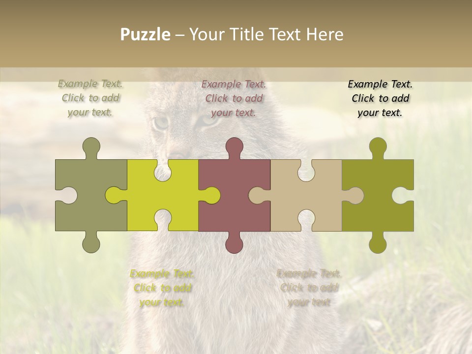 Whiskers Tufts Mouth PowerPoint Template