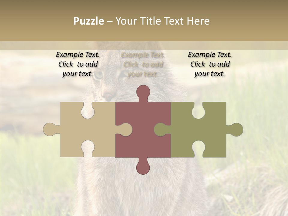 Whiskers Tufts Mouth PowerPoint Template