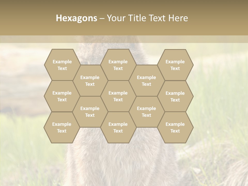 Whiskers Tufts Mouth PowerPoint Template