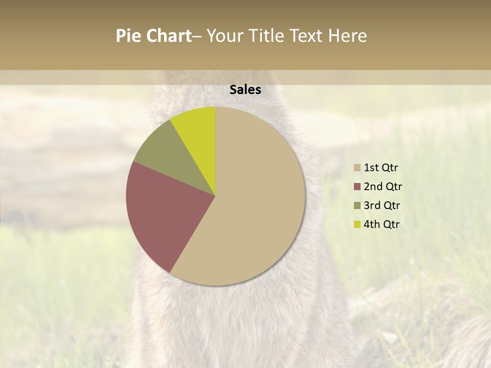 Whiskers Tufts Mouth PowerPoint Template