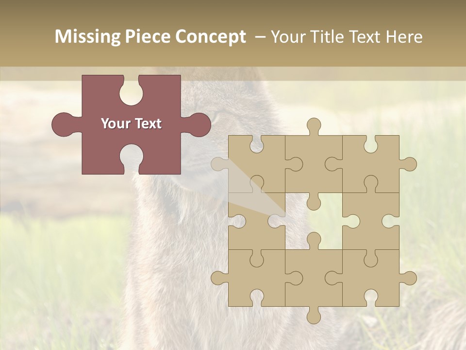 Whiskers Tufts Mouth PowerPoint Template