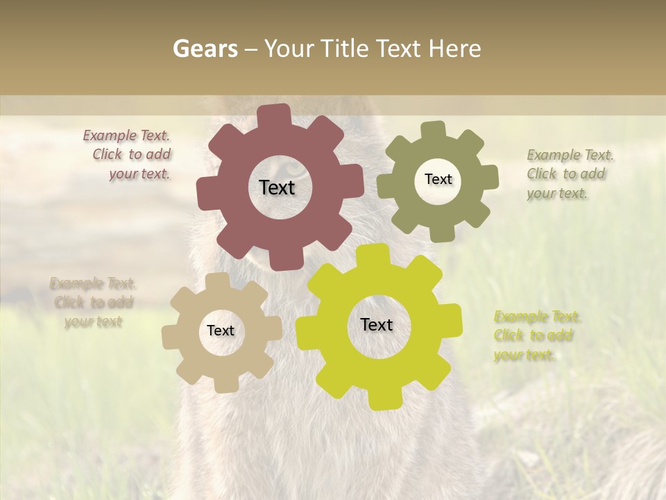 Whiskers Tufts Mouth PowerPoint Template