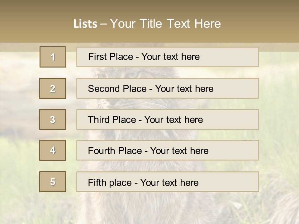 Whiskers Tufts Mouth PowerPoint Template
