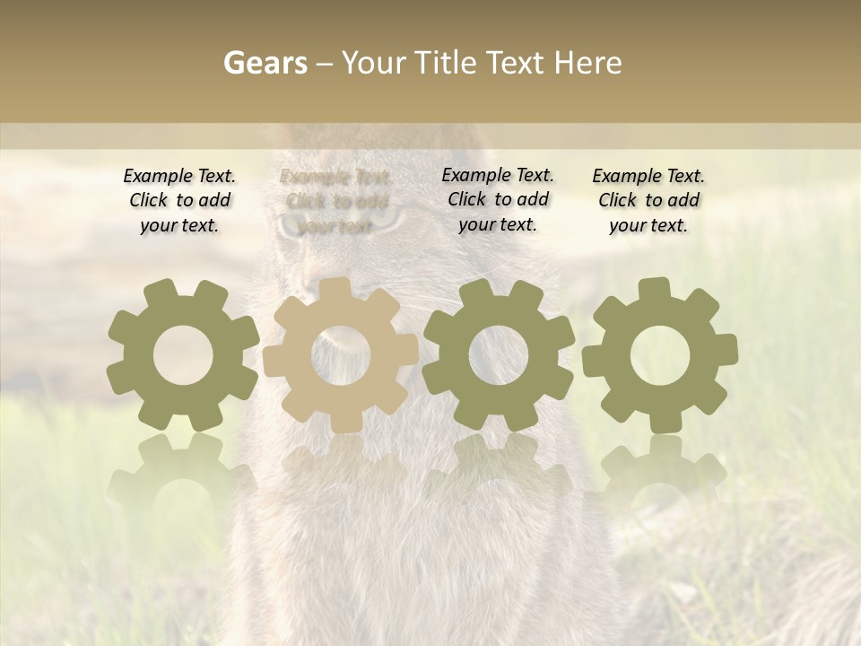 Whiskers Tufts Mouth PowerPoint Template