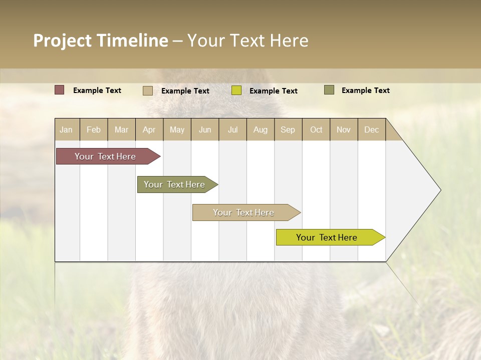 Whiskers Tufts Mouth PowerPoint Template