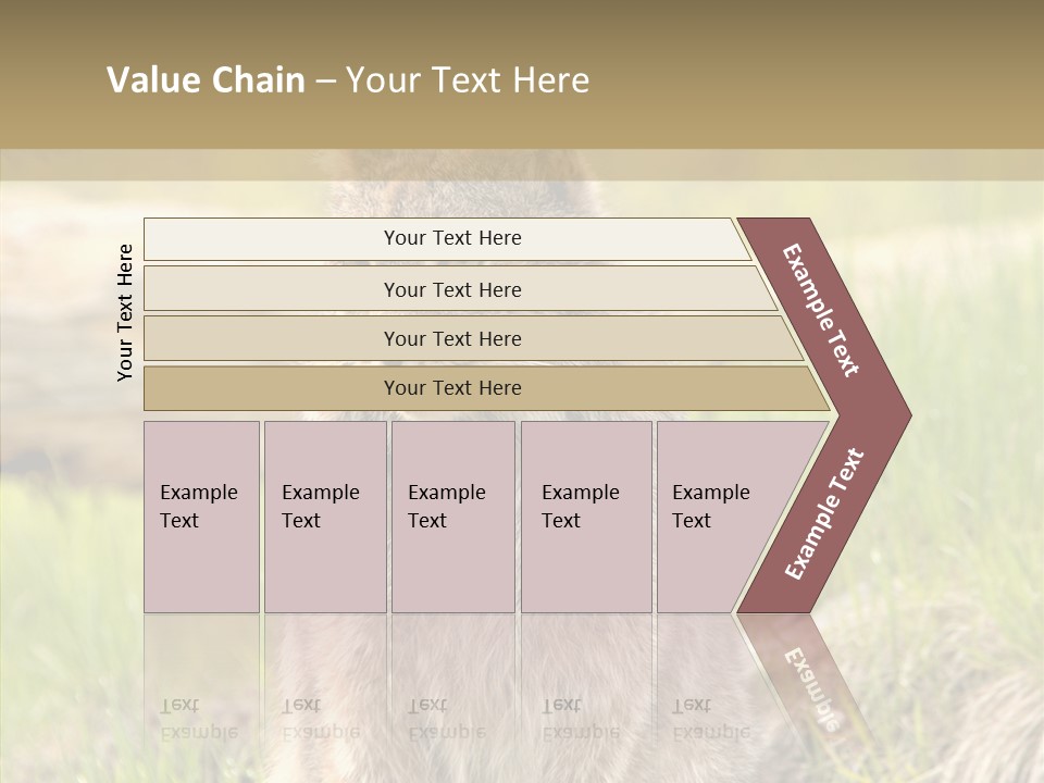 Whiskers Tufts Mouth PowerPoint Template