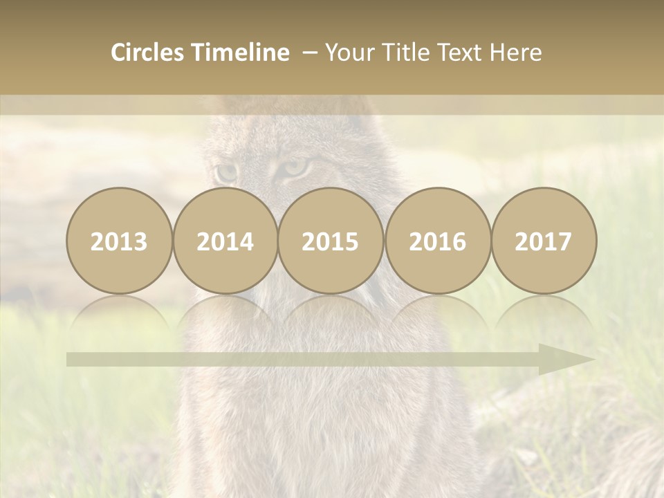 Whiskers Tufts Mouth PowerPoint Template