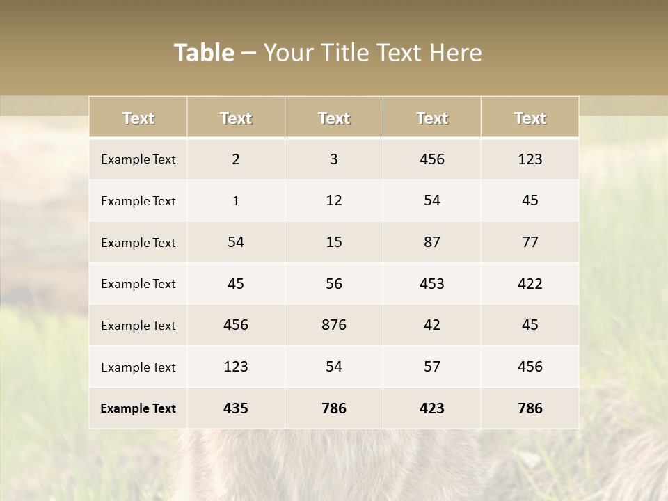 Whiskers Tufts Mouth PowerPoint Template