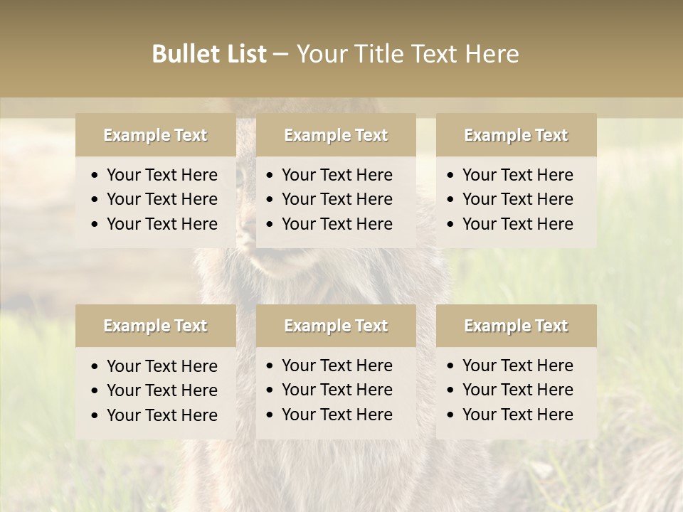 Whiskers Tufts Mouth PowerPoint Template