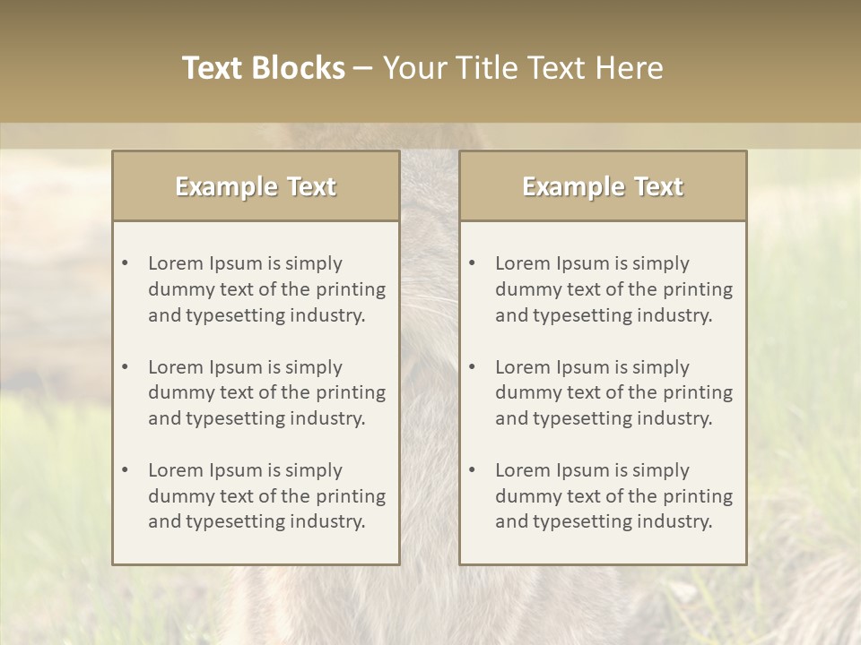 Whiskers Tufts Mouth PowerPoint Template