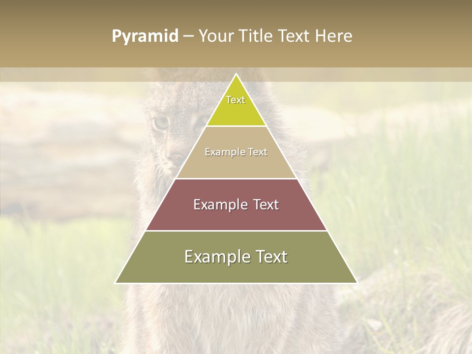 Whiskers Tufts Mouth PowerPoint Template