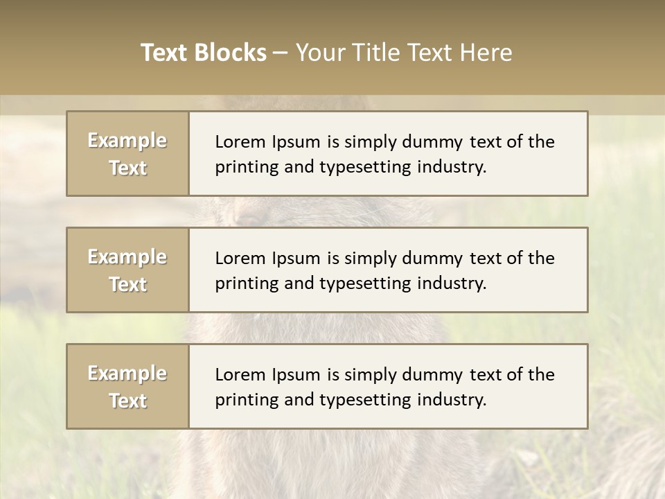 Whiskers Tufts Mouth PowerPoint Template