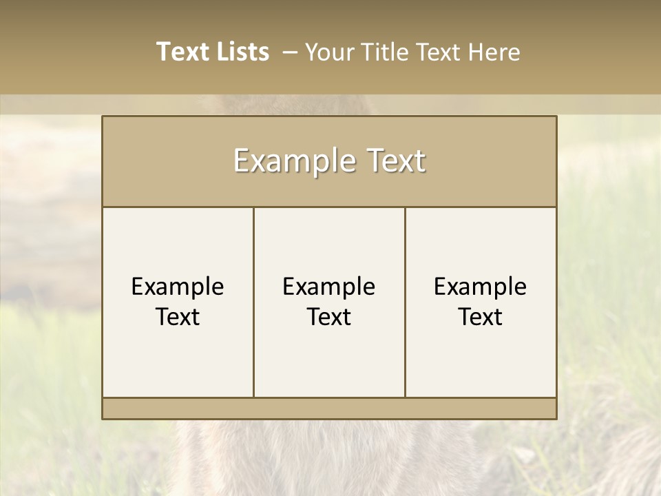 Whiskers Tufts Mouth PowerPoint Template