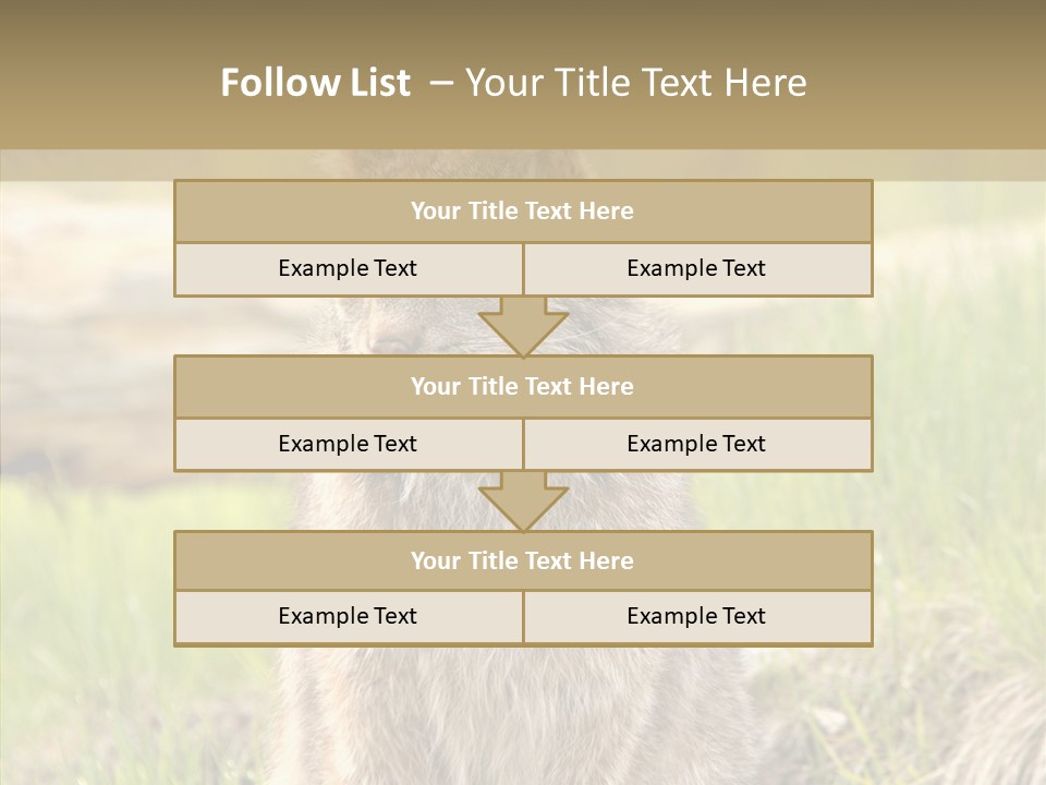 Whiskers Tufts Mouth PowerPoint Template