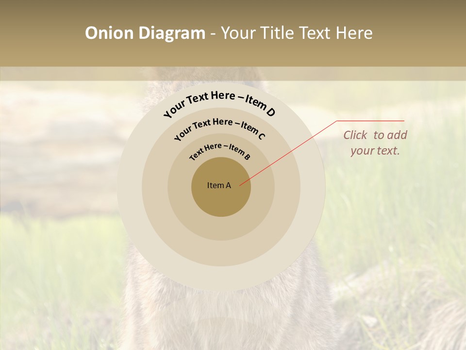 Whiskers Tufts Mouth PowerPoint Template