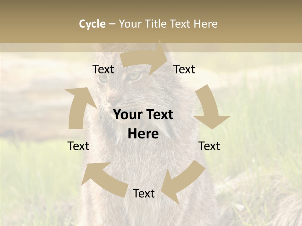 Whiskers Tufts Mouth PowerPoint Template