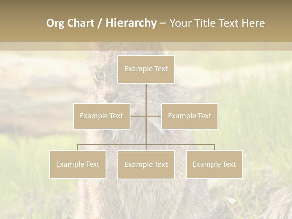 Whiskers Tufts Mouth PowerPoint Template