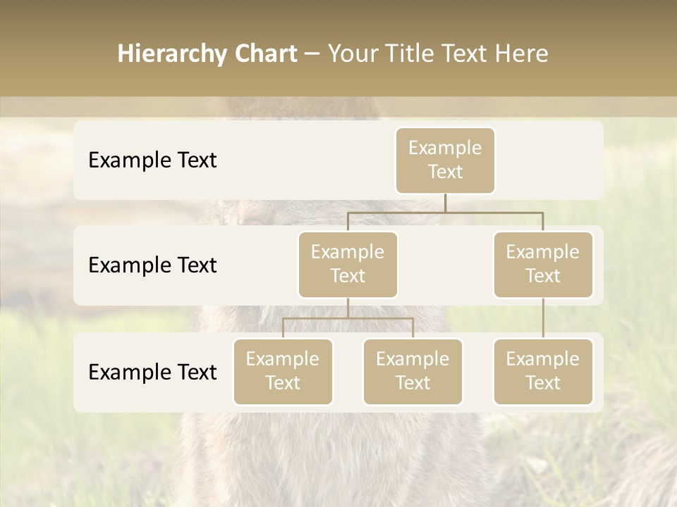 Whiskers Tufts Mouth PowerPoint Template