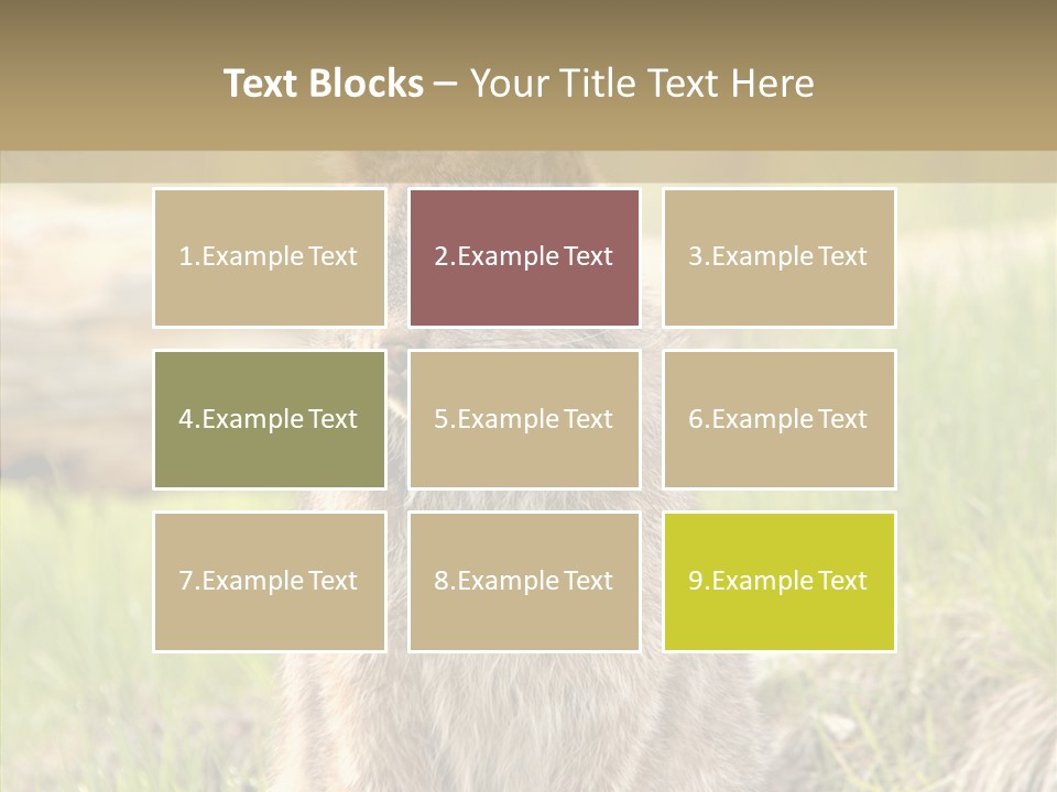 Whiskers Tufts Mouth PowerPoint Template