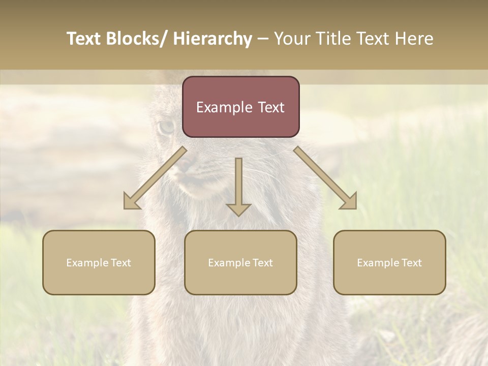 Whiskers Tufts Mouth PowerPoint Template