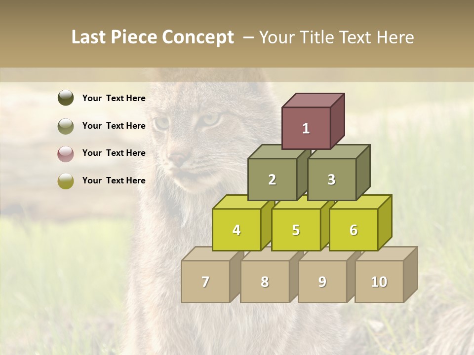 Whiskers Tufts Mouth PowerPoint Template