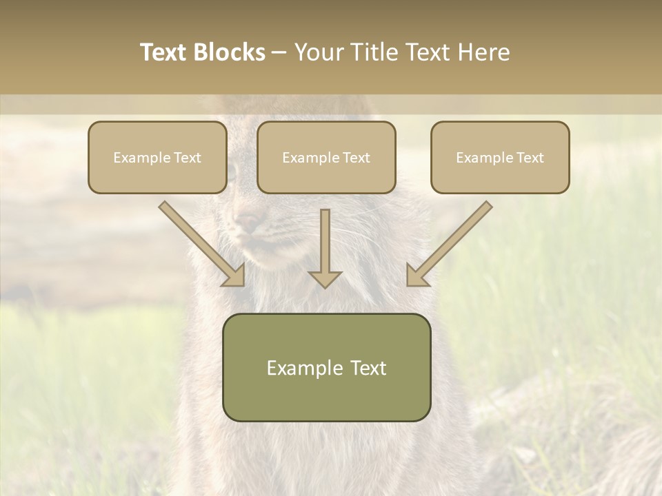 Whiskers Tufts Mouth PowerPoint Template