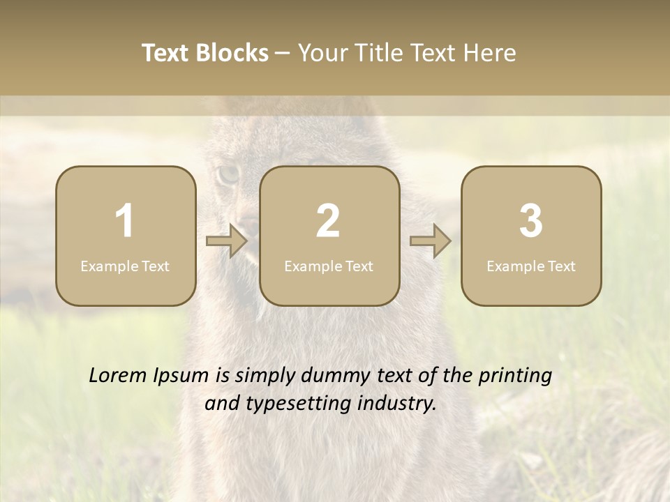 Whiskers Tufts Mouth PowerPoint Template