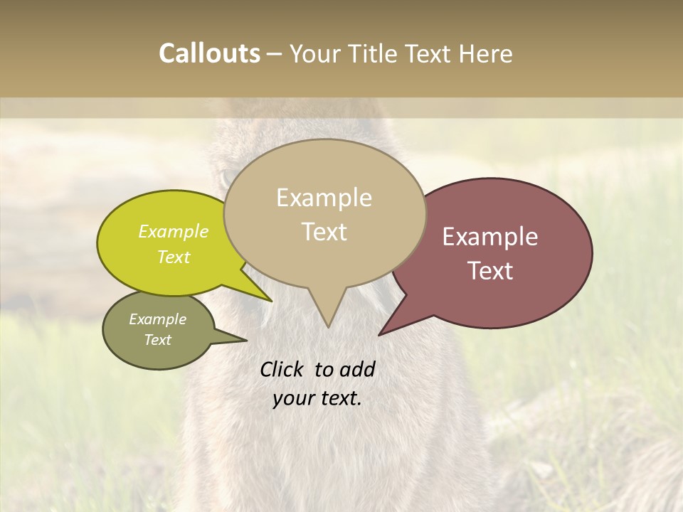 Whiskers Tufts Mouth PowerPoint Template