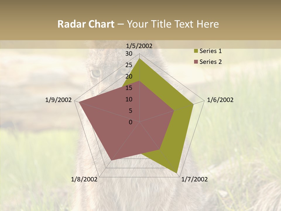 Whiskers Tufts Mouth PowerPoint Template