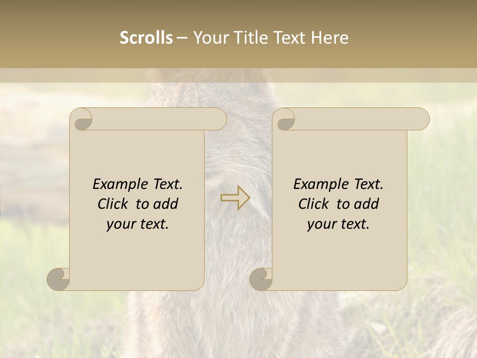 Whiskers Tufts Mouth PowerPoint Template