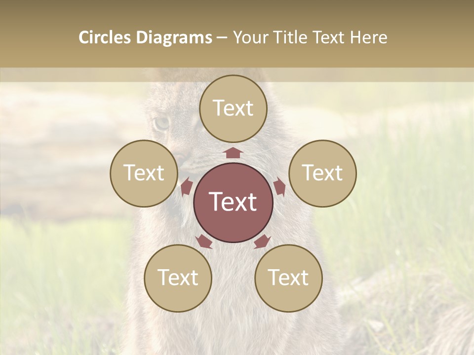 Whiskers Tufts Mouth PowerPoint Template