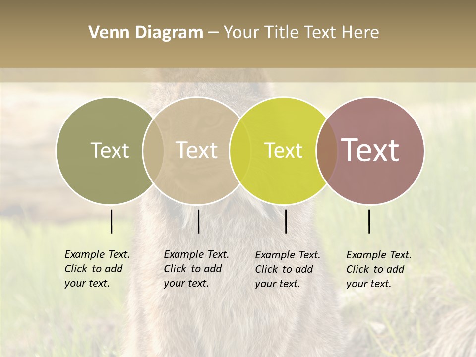 Whiskers Tufts Mouth PowerPoint Template