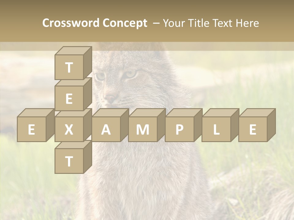 Whiskers Tufts Mouth PowerPoint Template