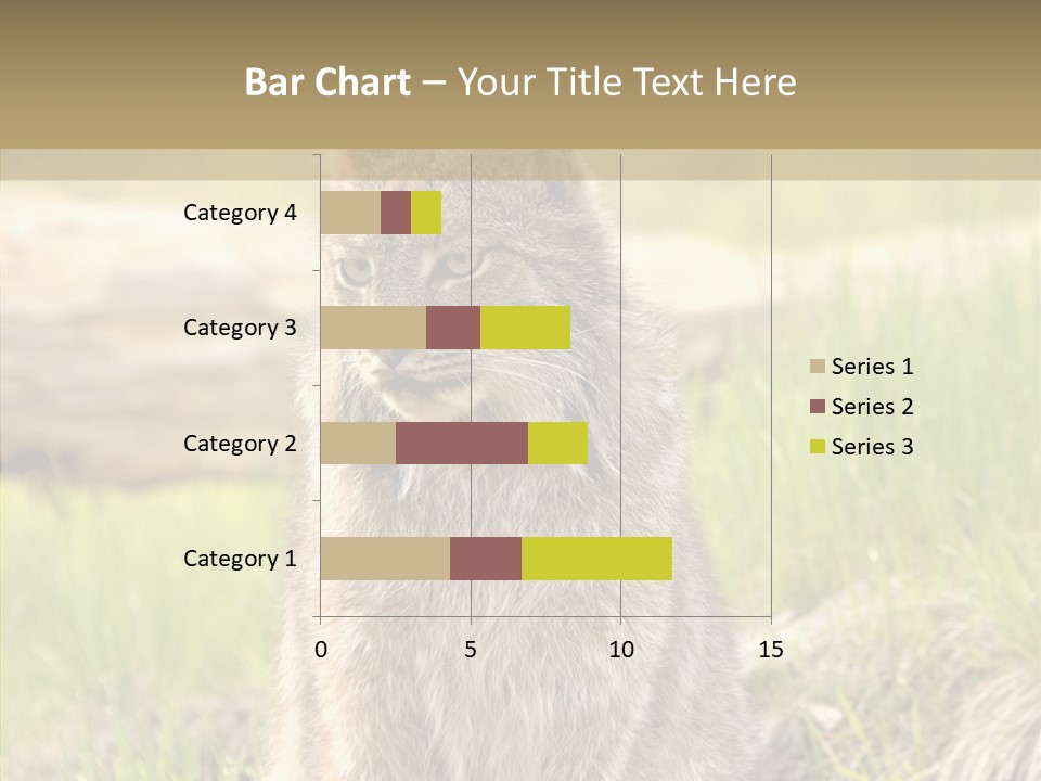 Whiskers Tufts Mouth PowerPoint Template