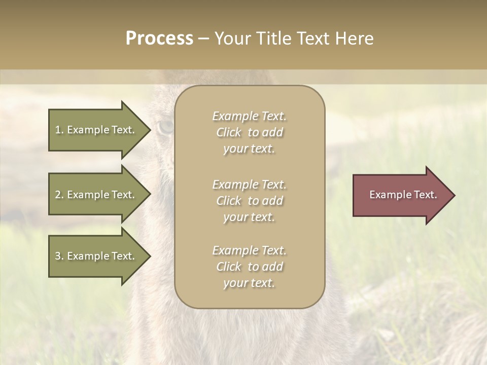 Whiskers Tufts Mouth PowerPoint Template