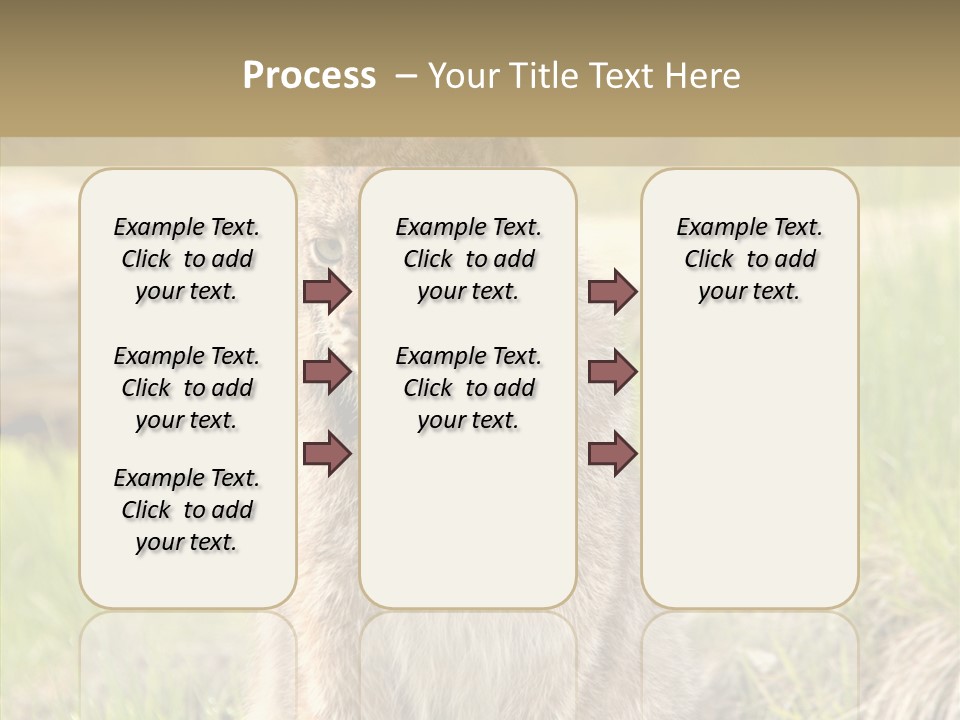 Whiskers Tufts Mouth PowerPoint Template