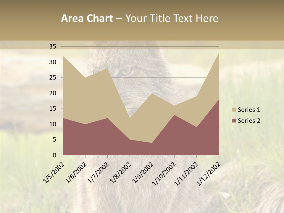 Whiskers Tufts Mouth PowerPoint Template