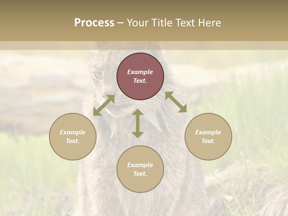Whiskers Tufts Mouth PowerPoint Template