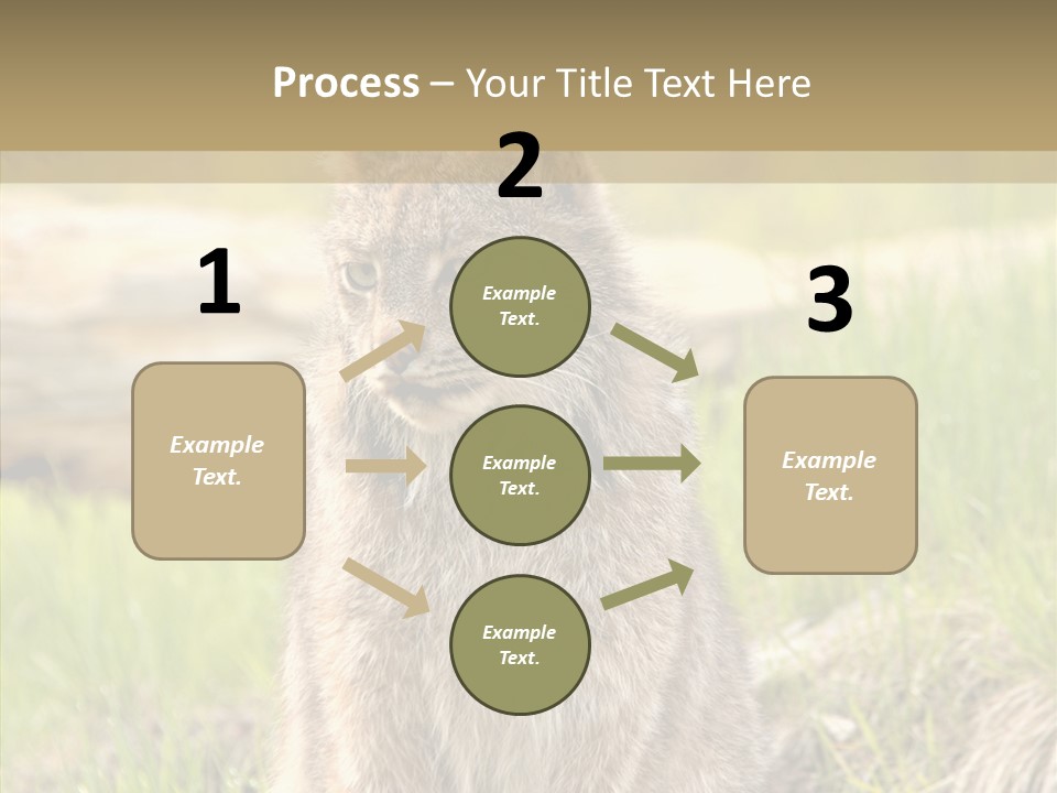 Whiskers Tufts Mouth PowerPoint Template